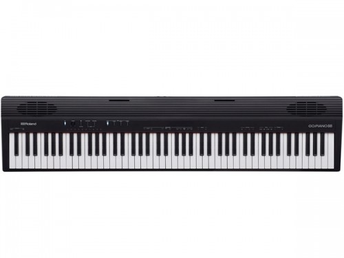 Roland Go-Piano88