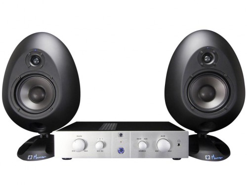 sE Electronics The Egg Medium