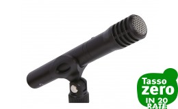 Tascam TM60